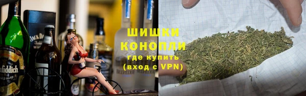 гашик Богородск