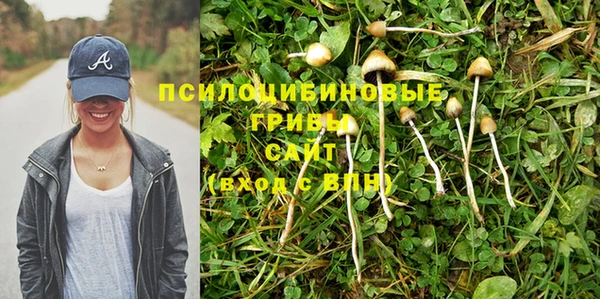 МДМА Богданович