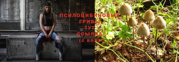 mdpv Приозерск