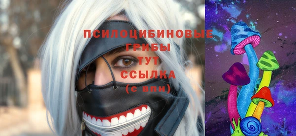 гашик Богородск