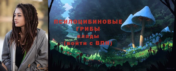 МДМА Богданович